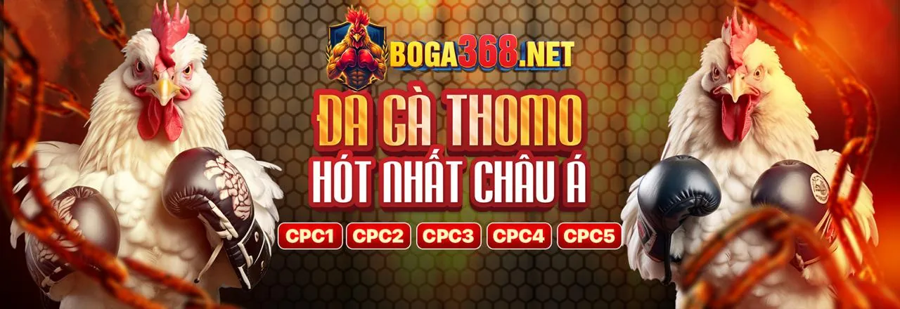 Giao diện cá cược trực tiếp trên hit club game